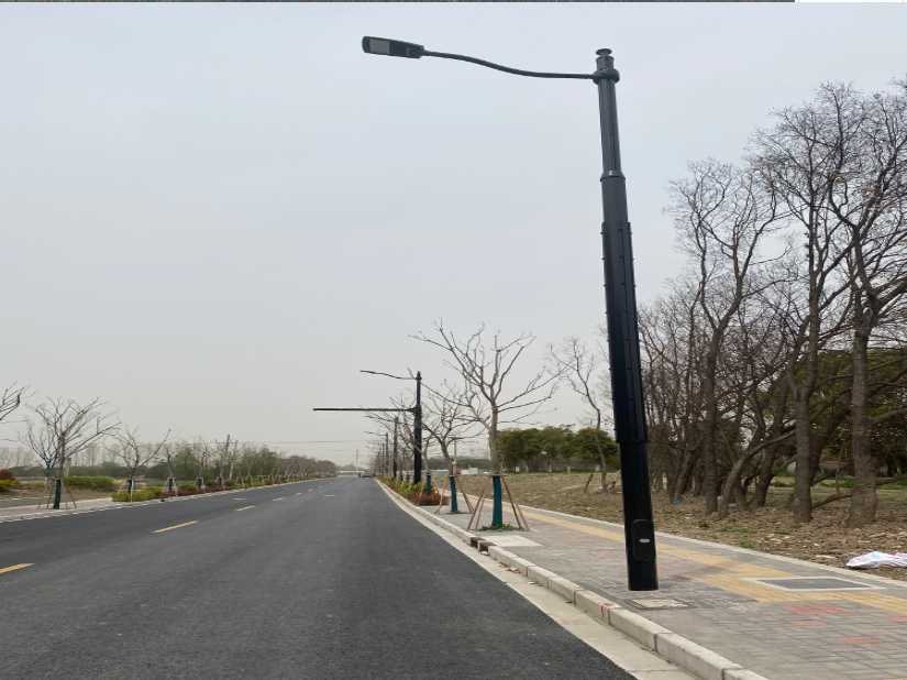 椒江区上海综合杆 太阳能路灯工程